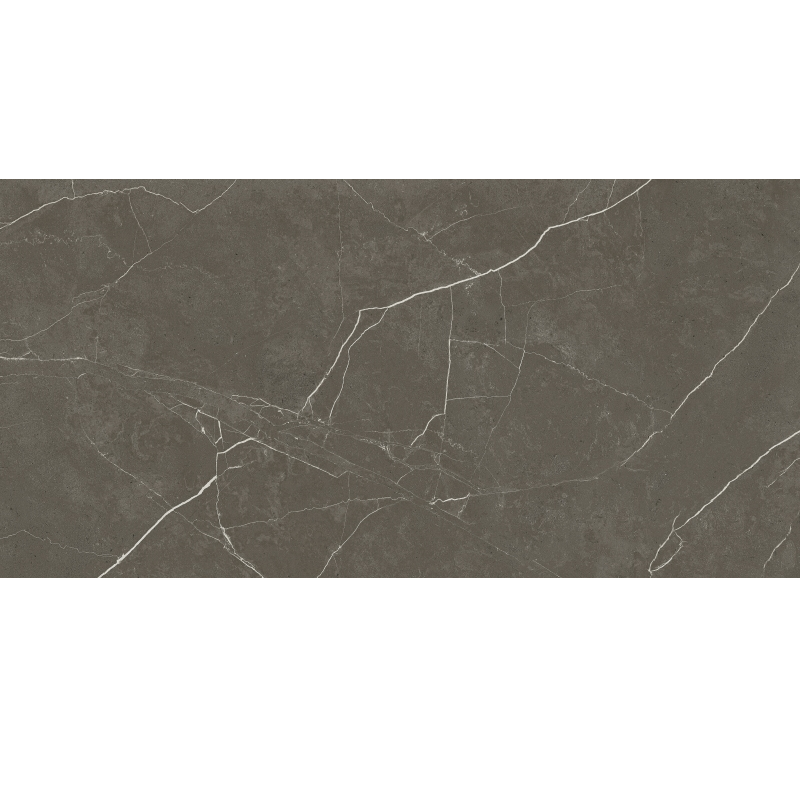 Porcelanato Retificado Splendor Taupe 61 x 120 cm Helena