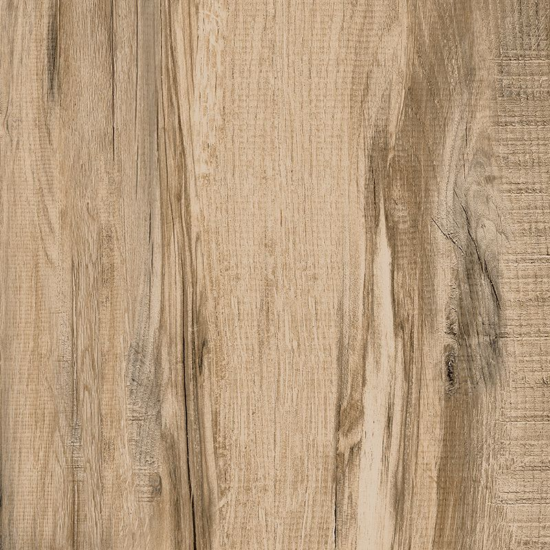 Porcelanato Retificado Ecotech Carvalho 61 x 61 cm Gaudi